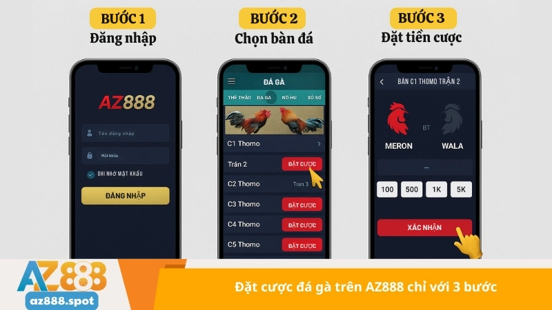 Đặt cược đá gà trên AZ888 chỉ với 3 bước